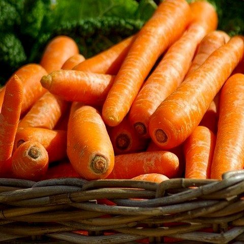 Монанта морковь нантская
