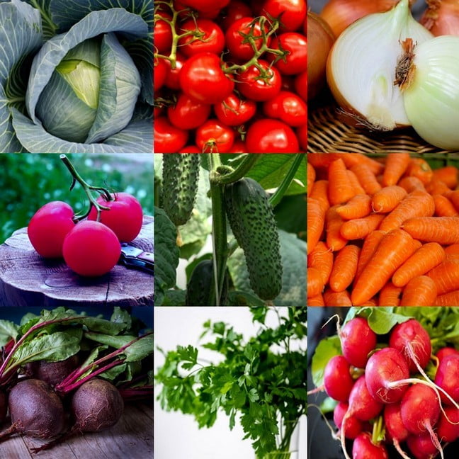 Набор семян овощей - Все что нужно