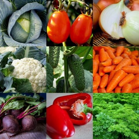 Набор семян овощей - Дачный