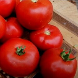 Ольга F1 томат красный (Vilmorin) семена
