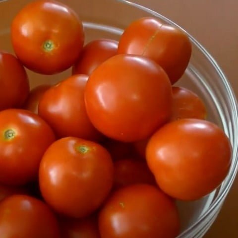 Ричи F1 томат красный (Bejo)